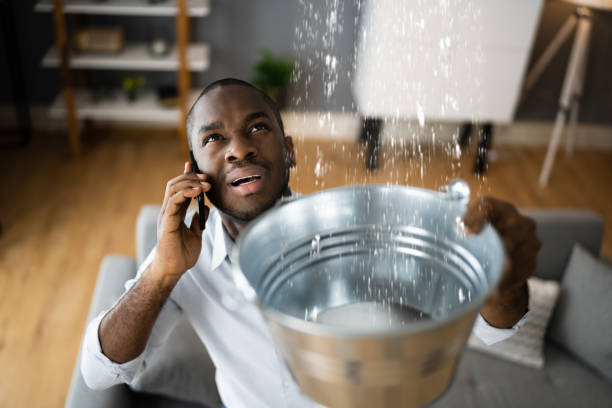 Best Basement water damage restoration  in Clay Center, KS