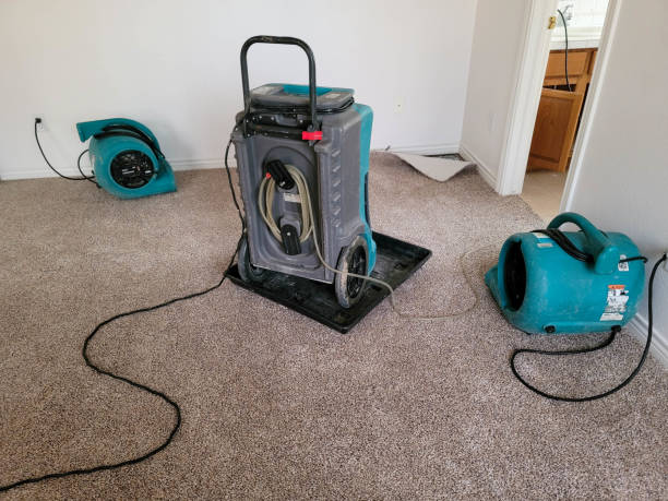 Best Water damage restoration near me  in Clay Center, KS