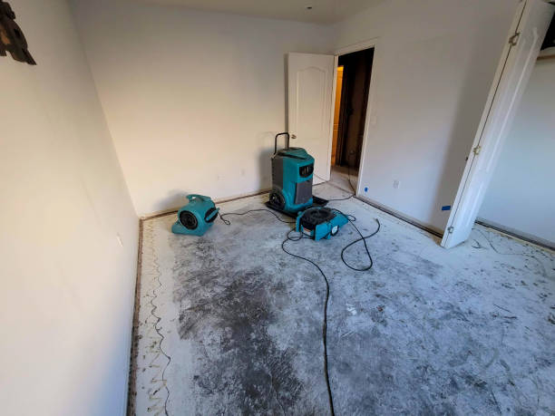 Best Water damage cleanup near me  in Clay Center, KS