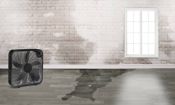 Best Water damage restoration near me  in Clay Center, KS