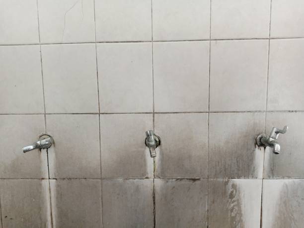 Best Sewage cleanup and water damage restoration  in Clay Center, KS
