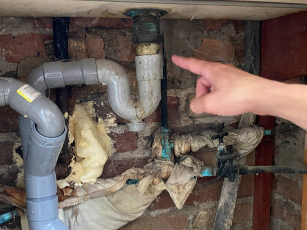 Best Basement water damage restoration  in Clay Center, KS